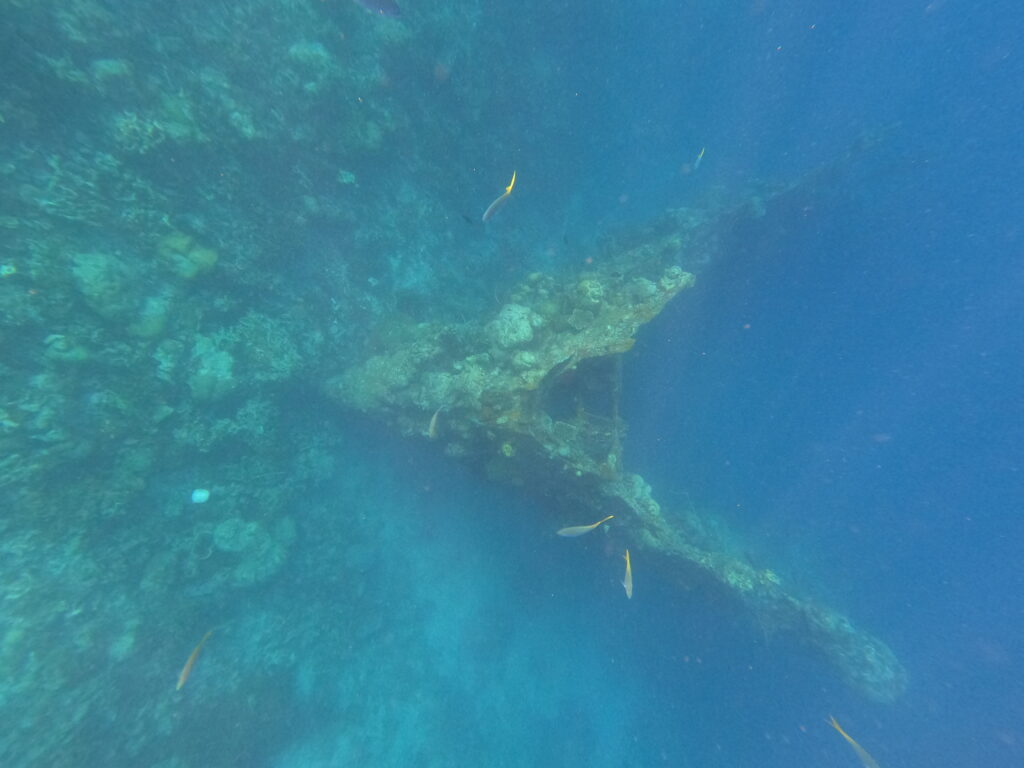 Ship wreck near  Malwawey Coral Garden, Coron, Philippines