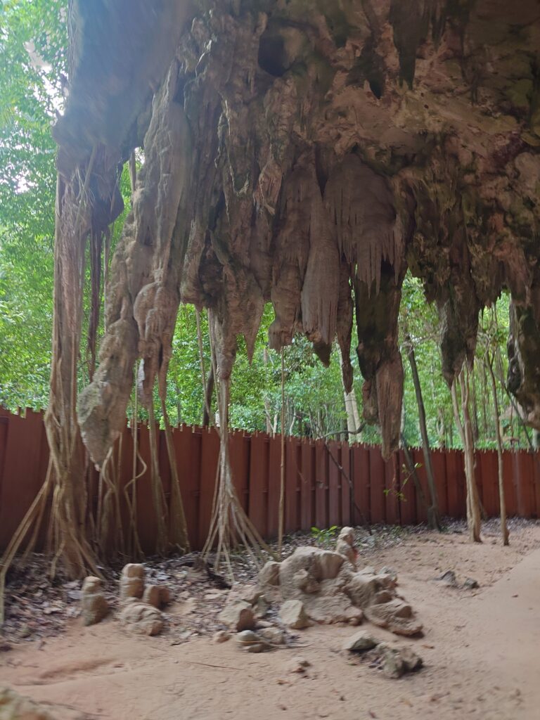 Railay stalactite, Railay, Krabi, Thailand