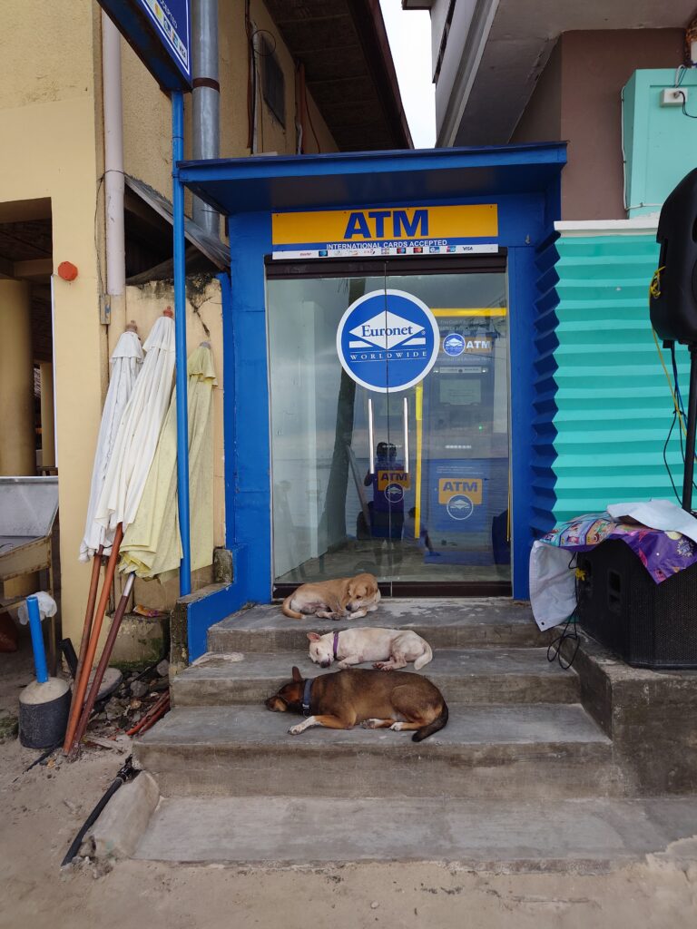 Dog chilling outside the ATM at Alona Beach, Panglao Island, Bohol, Philippines