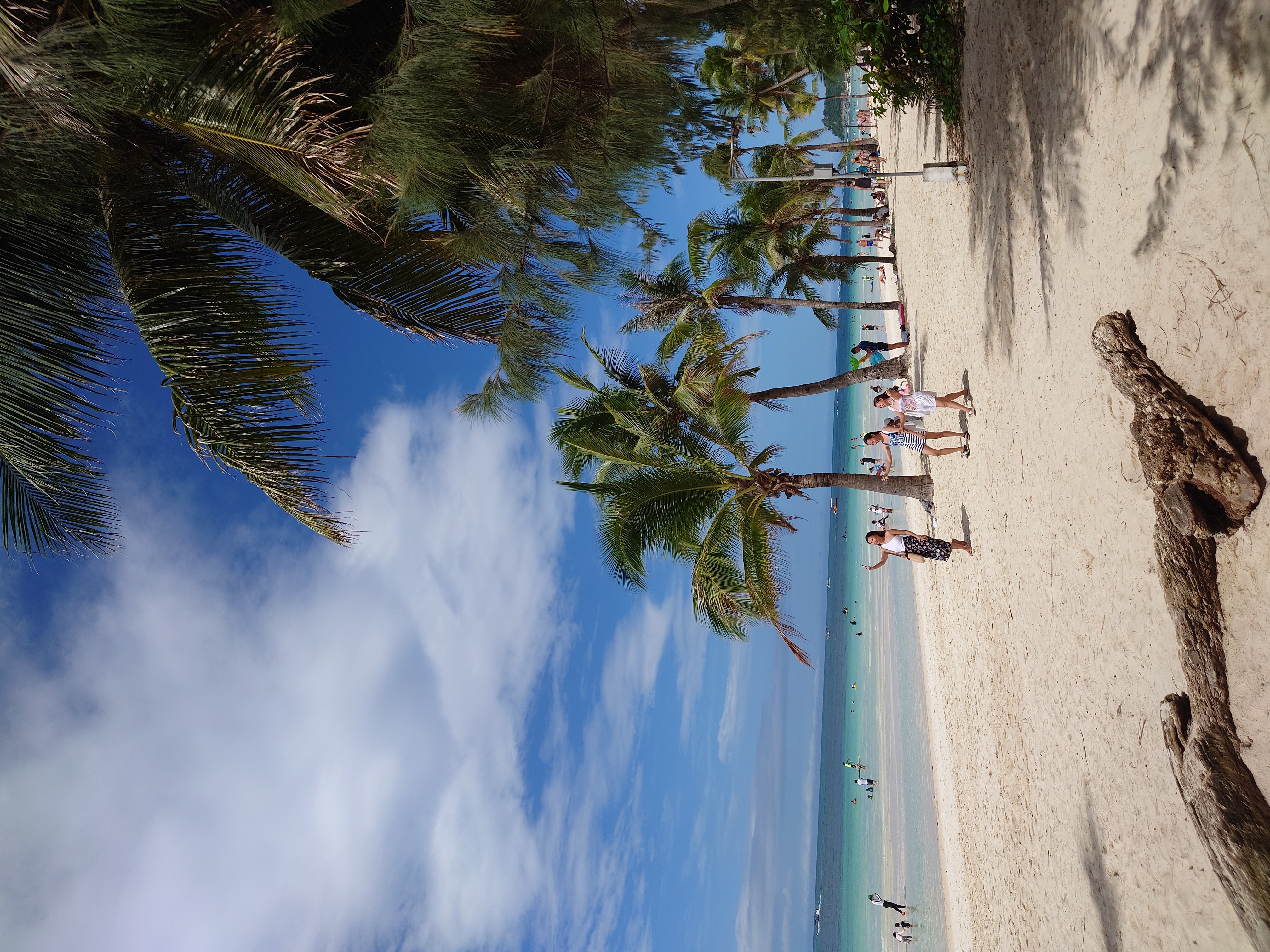 Palm trees along White Beach in Boracay, Philippines