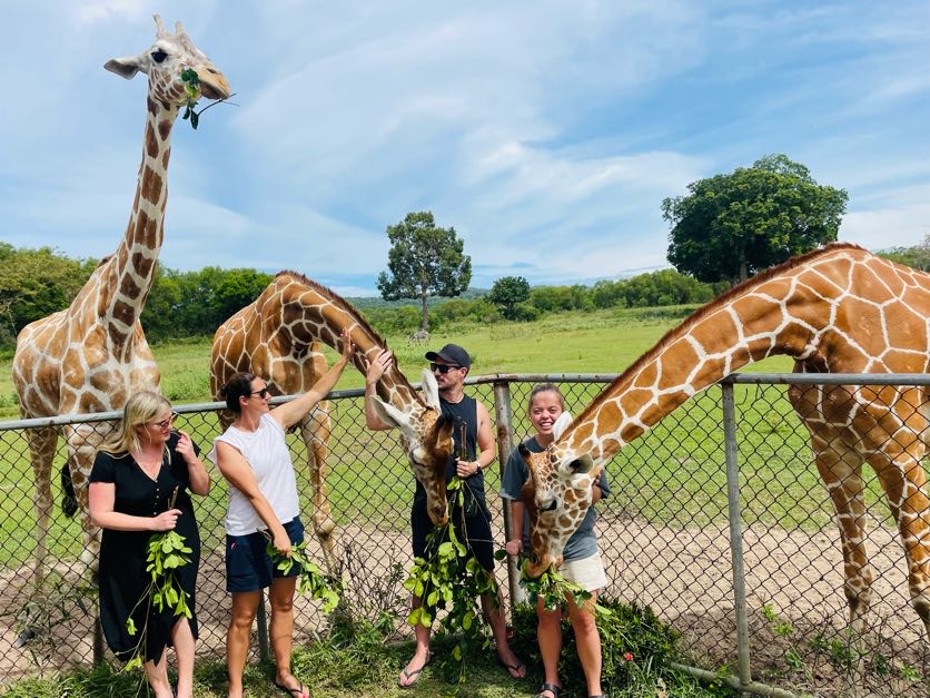 Lauren Higgins, Rhiana Ravindran, Rhys Sain and Taylor Shepherd with the Giraffes at Calauit Safari Park, Coron