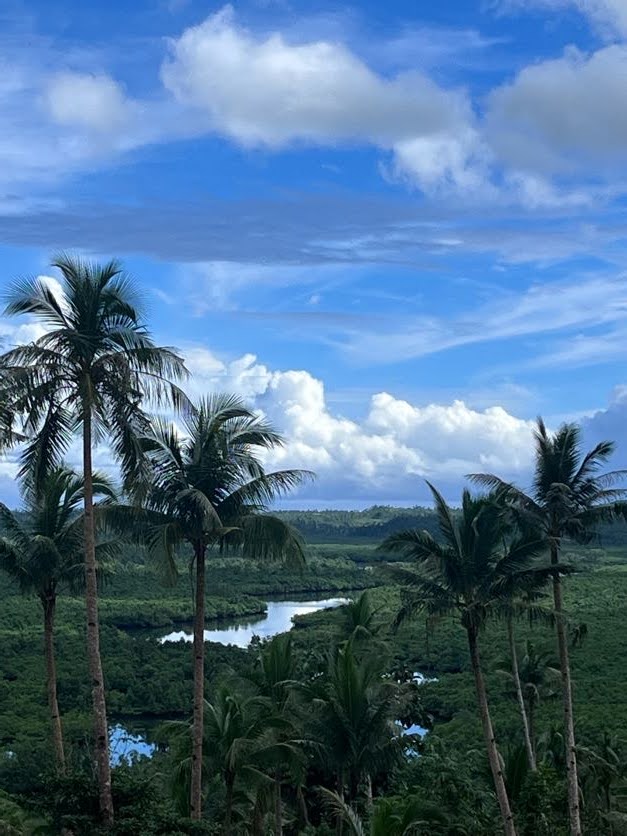 A view from the coconut viewdeck in Siargao, Philippines