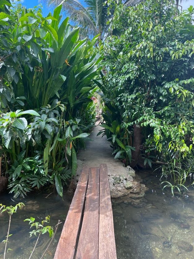 A pathway along Maasin River, Siargao, Philippines