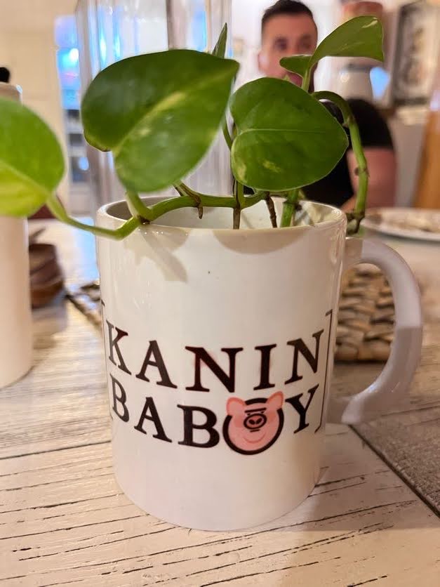 Cup with a plant in it on the table at Kanin Baboy in General Luna, Siargao, Philippines