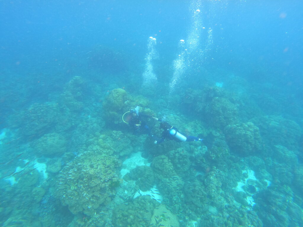 Snorkelling off Racha Island, Phuket, Thailand